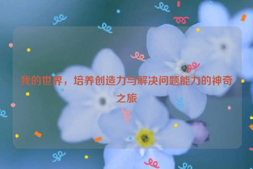 我的世界，培养创造力与解决问题能力的神奇之旅